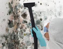 Best Biohazard Mold Removal  in Loyal, WI